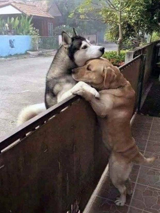 Awesome Pictures You Shouldn’t Miss #53 (38 photos)