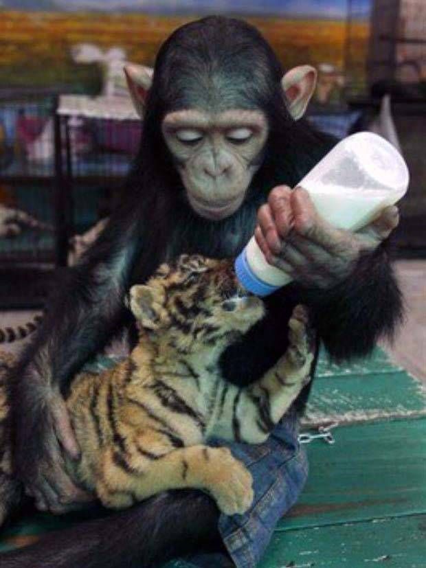 Awesome Pictures You Shouldn’t Miss #53 (38 photos)