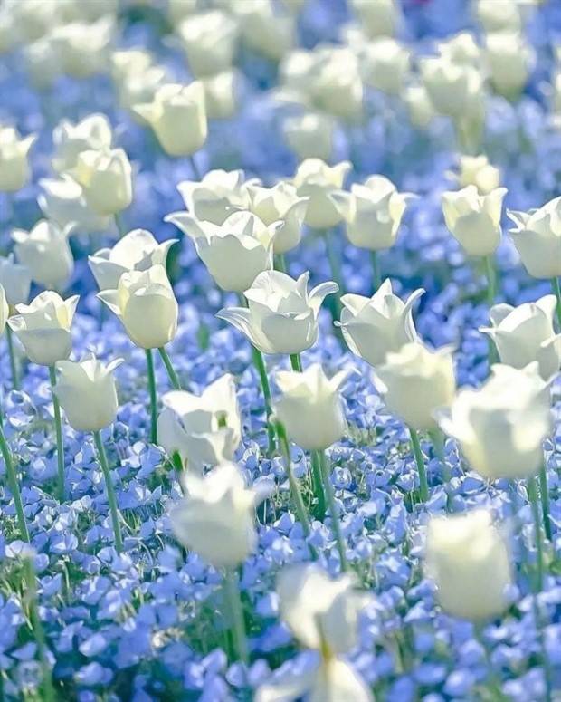 Awesome Pictures You Shouldn’t Miss #53 (38 photos)