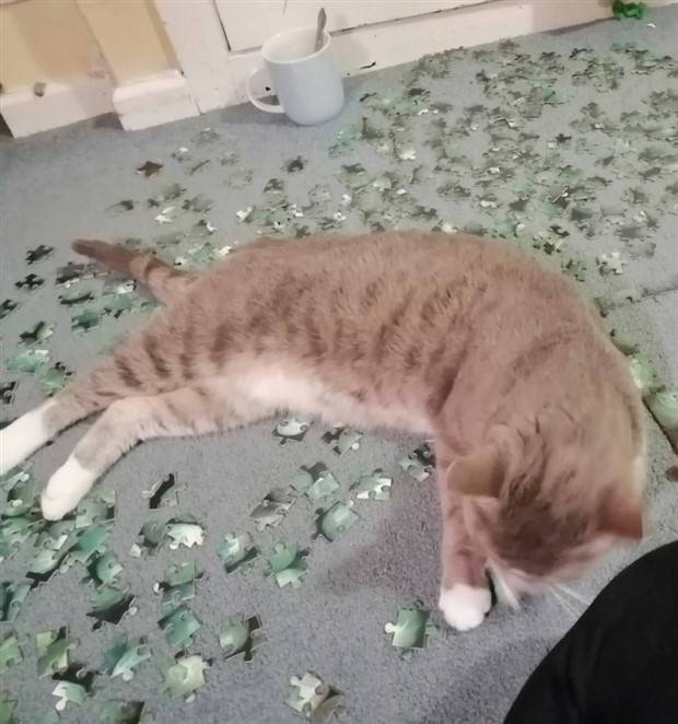 bad day happens 36 Shit Happens Regularly, Get Used To It #227 (40 photos)