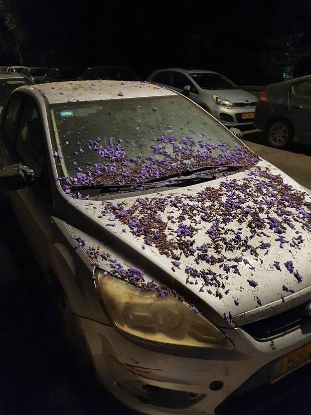 bad things happen 13 Shit Happens Regularly, Get Used To It #229 (36 photos)