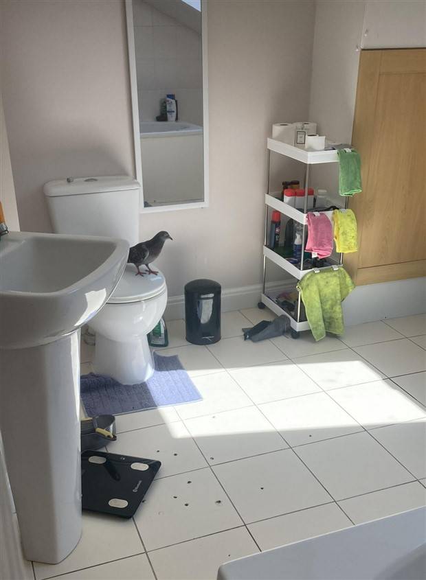 bad things happen 20 Shit Happens Regularly, Get Used To It #229 (36 photos)