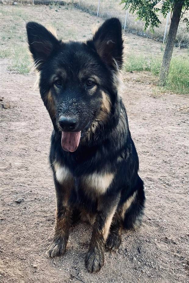 bad things happen 30 Shit Happens Regularly, Get Used To It #229 (36 photos)