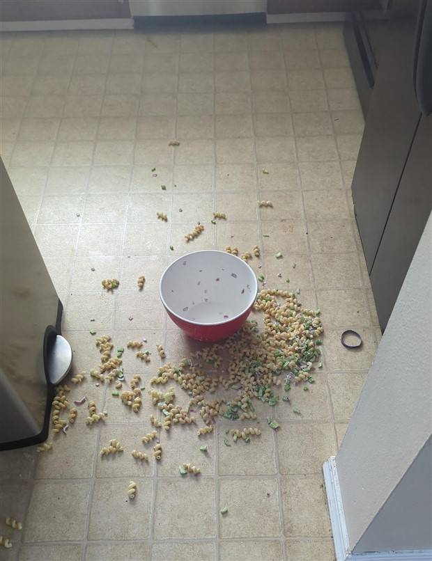 bad things happen 31 Shit Happens Regularly, Get Used To It #229 (36 photos)