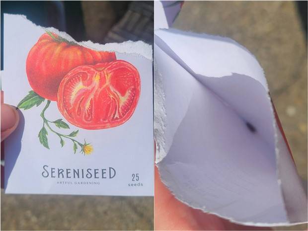 bad things happen 33 Shit Happens Regularly, Get Used To It #229 (36 photos)