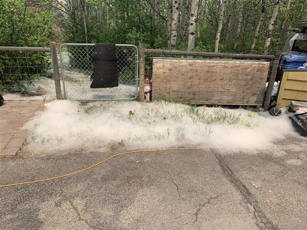 bad things happen 4 Shit Happens Regularly, Get Used To It #229 (36 photos)