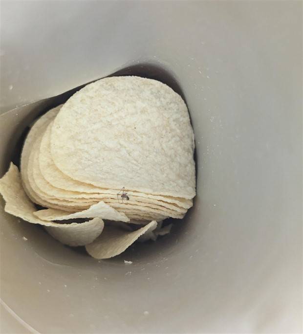 bad things happen 9 Shit Happens Regularly, Get Used To It #229 (36 photos)