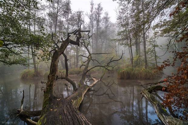 Amazing Landscapes That Leave Us Speechless #17 (41 photos)