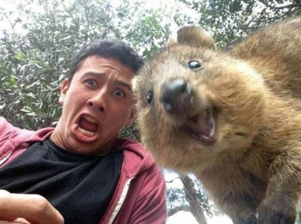 Strange Scenes Typical of Australia (43 photos)