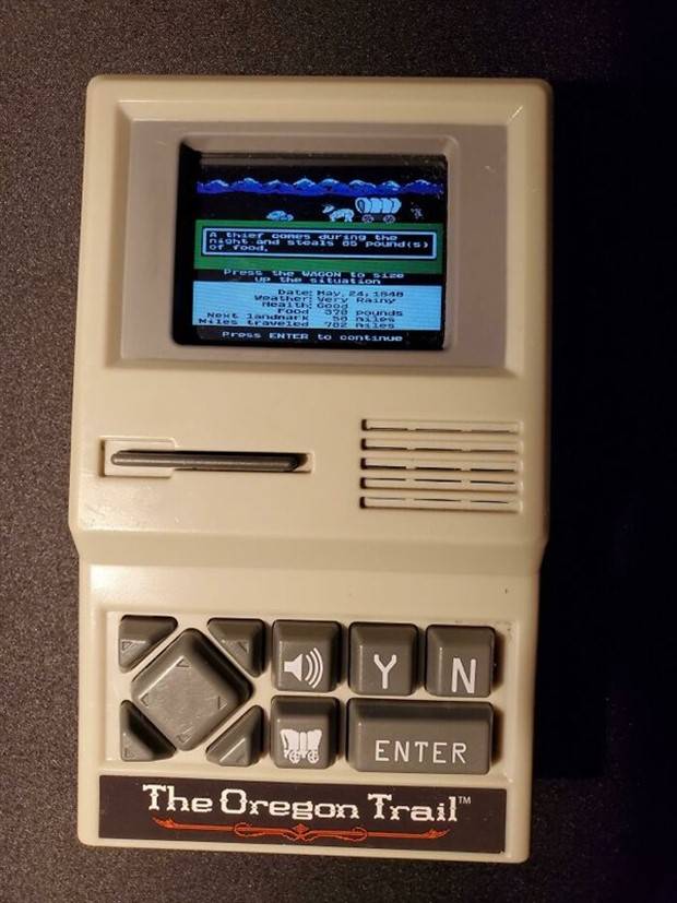 Strange Things Found in Thrift Stores #13 (35 photos)