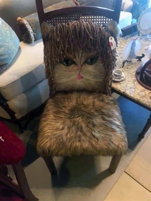 Strange Things Found in Thrift Stores #13 (35 photos)