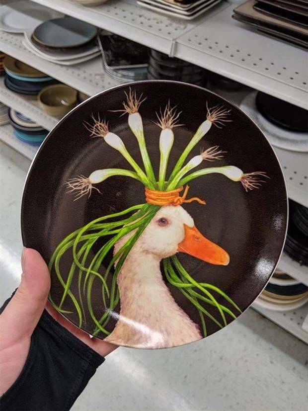 Strange Things Found in Thrift Stores #13 (35 photos)