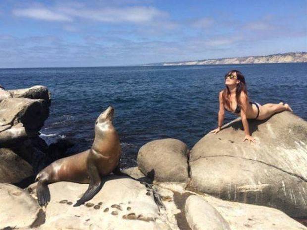 cute animals pets 26 Get Ready For Funny Animals #288 (42 photos)