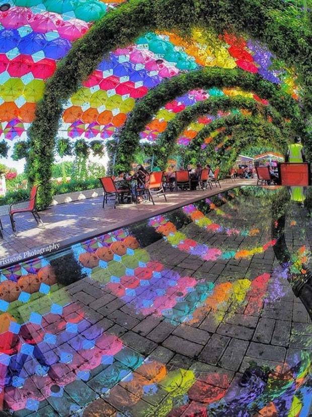 Dubais Captivating Images (25 photos)