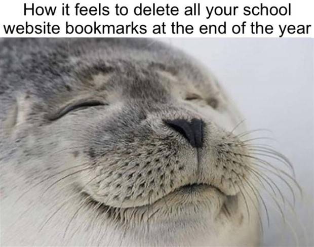 Funny Pics And Memes To Make You Laugh #55 (41 photos)