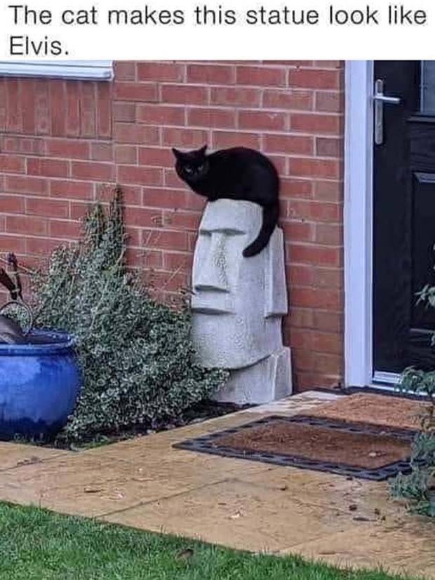 Funny Pics And Memes To Make You Laugh #55 (41 photos)