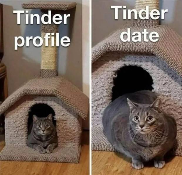 Funny Pics And Memes To Make You Laugh #55 (41 photos)