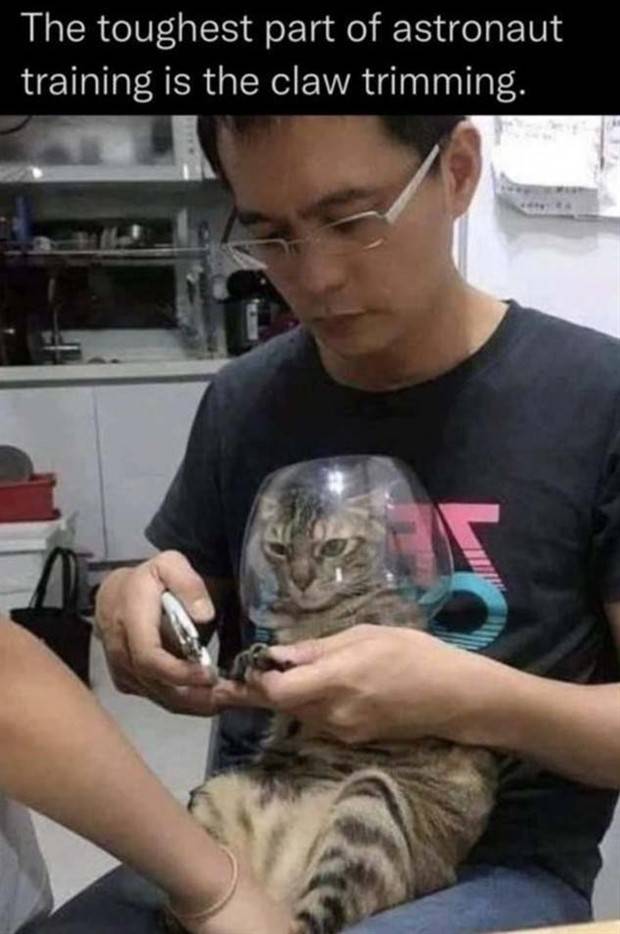 Funny Pics And Memes To Make You Laugh #55 (41 photos)