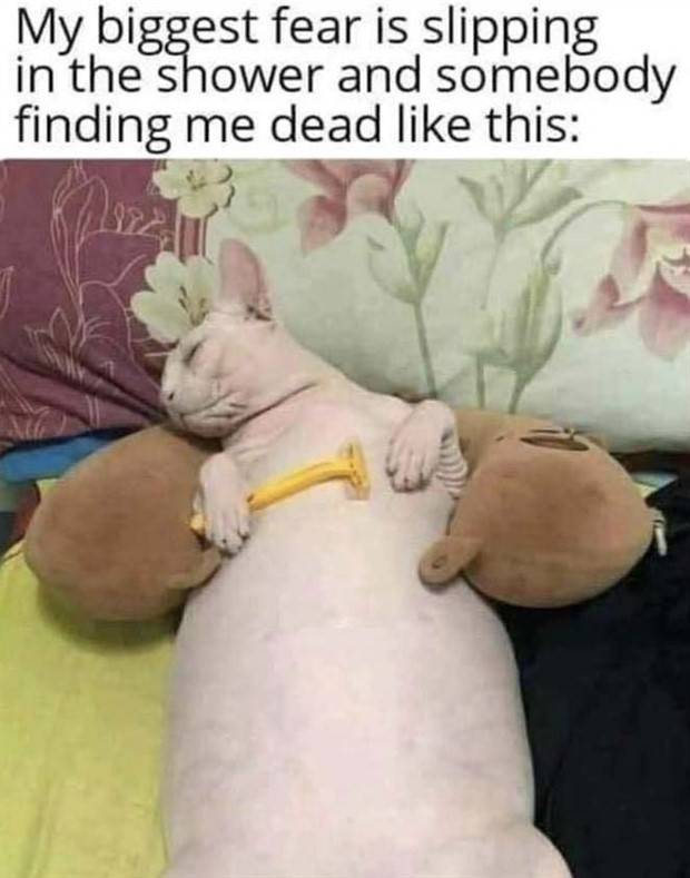 Funny Pics And Memes To Make You Laugh #55 (41 photos)