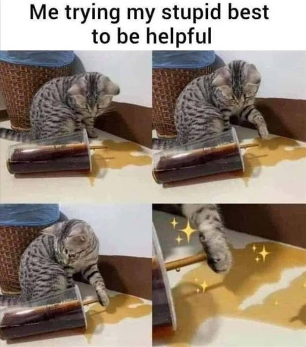 Funny Pics And Memes To Make You Laugh #55 (41 photos)