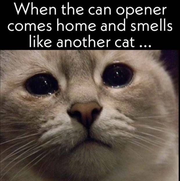 funny pictures memes 18 1 Funny Pics And Memes To Make You Laugh #56 (39 photos)