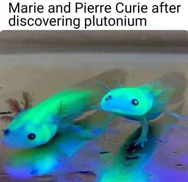 funny pictures memes 19 1 Funny Pics And Memes To Make You Laugh #56 (39 photos)