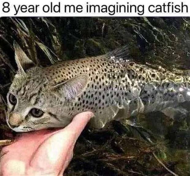 funny pictures memes 26 1 Funny Pics And Memes To Make You Laugh #56 (39 photos)