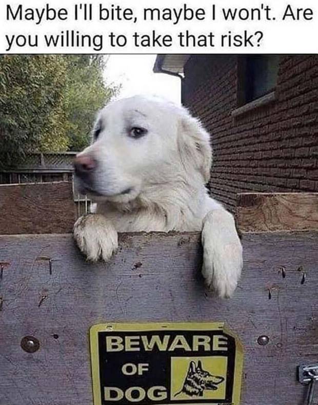 funny pictures memes 30 1 Funny Pics And Memes To Make You Laugh #56 (39 photos)