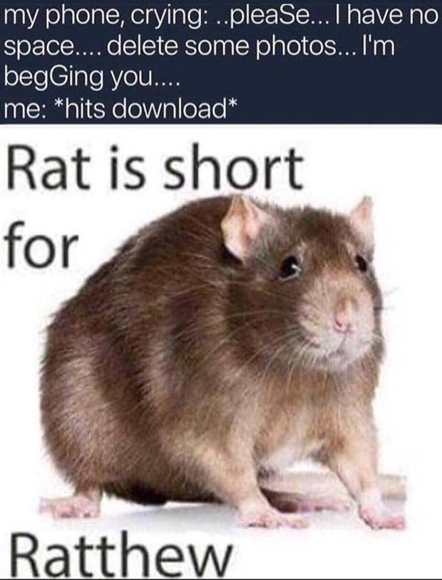 funny pictures memes 39 1 Funny Pics And Memes To Make You Laugh #56 (39 photos)