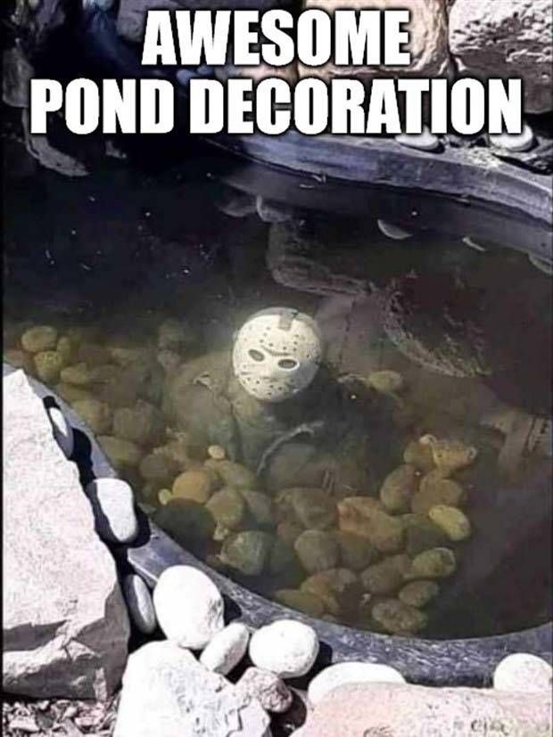 funny pictures memes 4 1 Funny Pics And Memes To Make You Laugh #56 (39 photos)