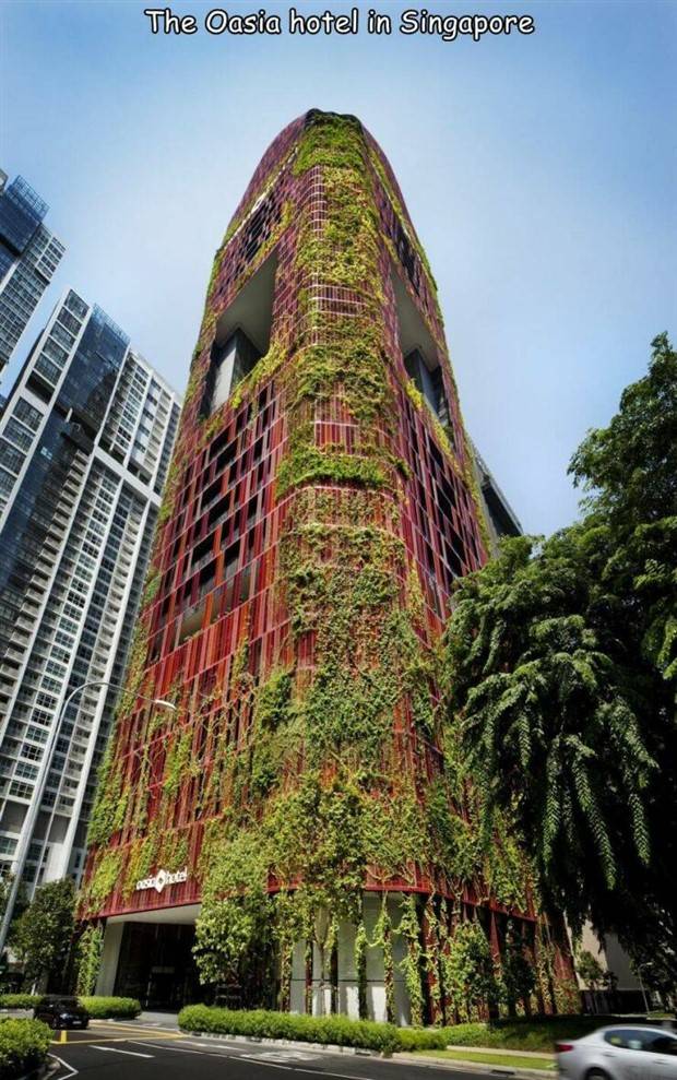 interesting captions 25 1 Interesting Pictures With Captions #56 (35 photos)