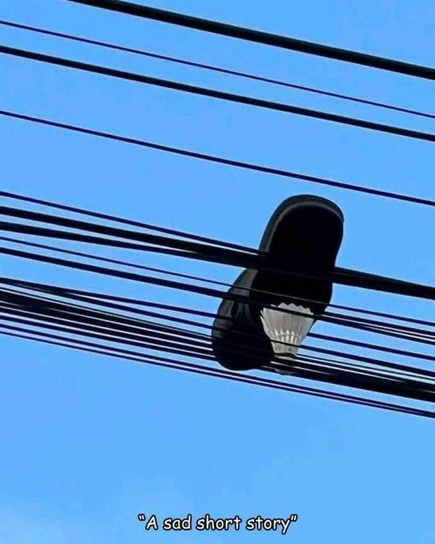 interesting captions 27 1 Interesting Pictures With Captions #56 (35 photos)