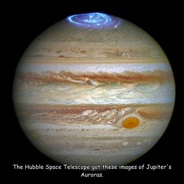 Interesting Pictures With Captions #57 (44 photos)