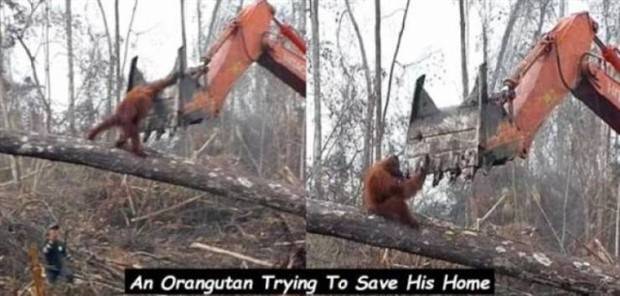 interesting captions 34 1 Interesting Pictures With Captions #56 (35 photos)