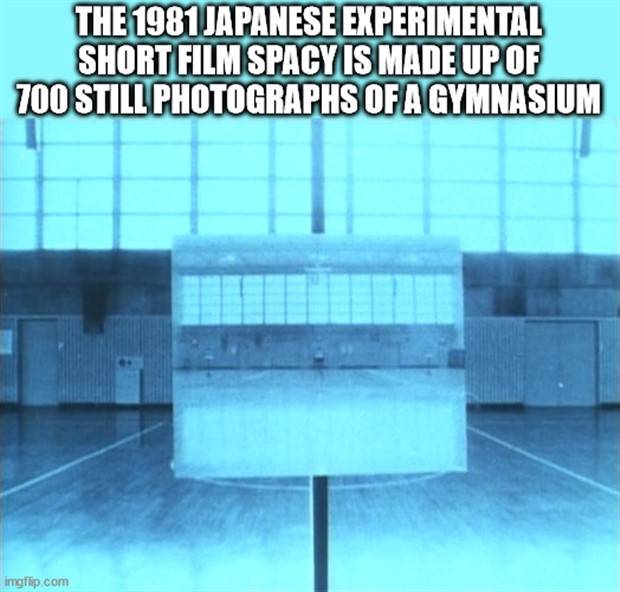 It’s Time For Some Cool And Interesting Facts #330 (37 photos)