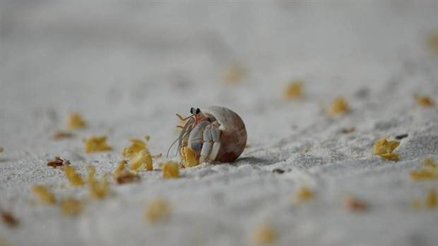 Klyker Picdump #1225 (54 photos)