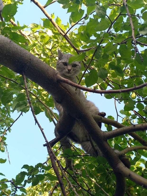 Klyker Picdump #1225 (54 photos)