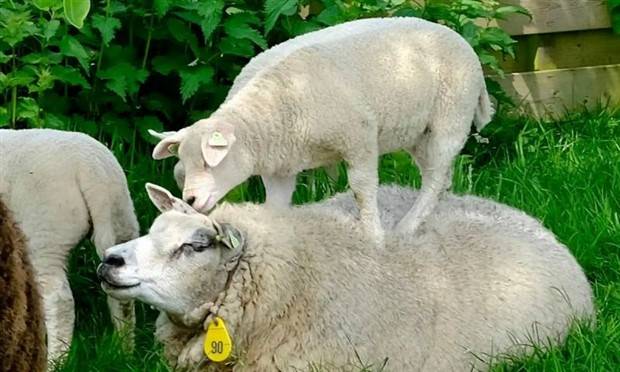 Klyker Picdump #1225 (54 photos)