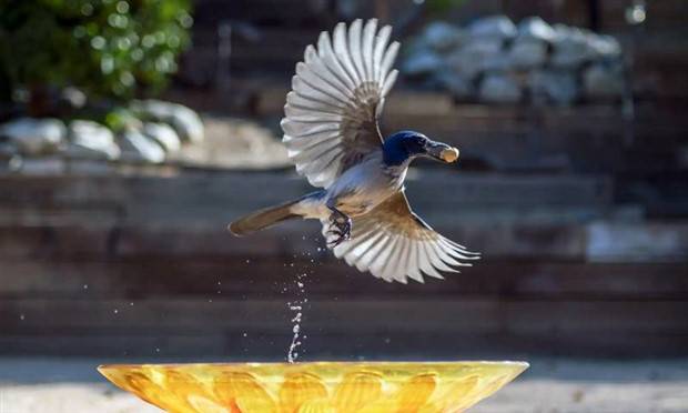 Klyker Picdump #1225 (54 photos)