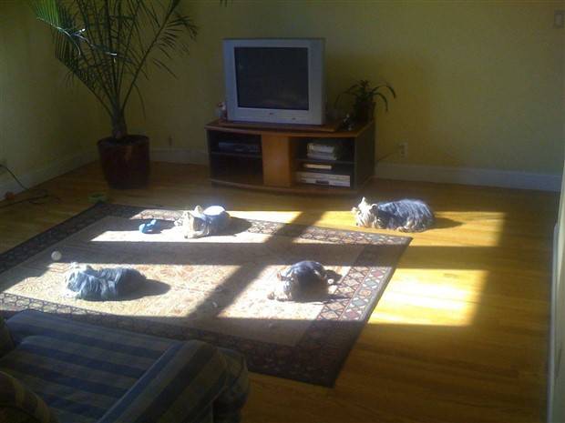 Klyker Picdump #1225 (54 photos)