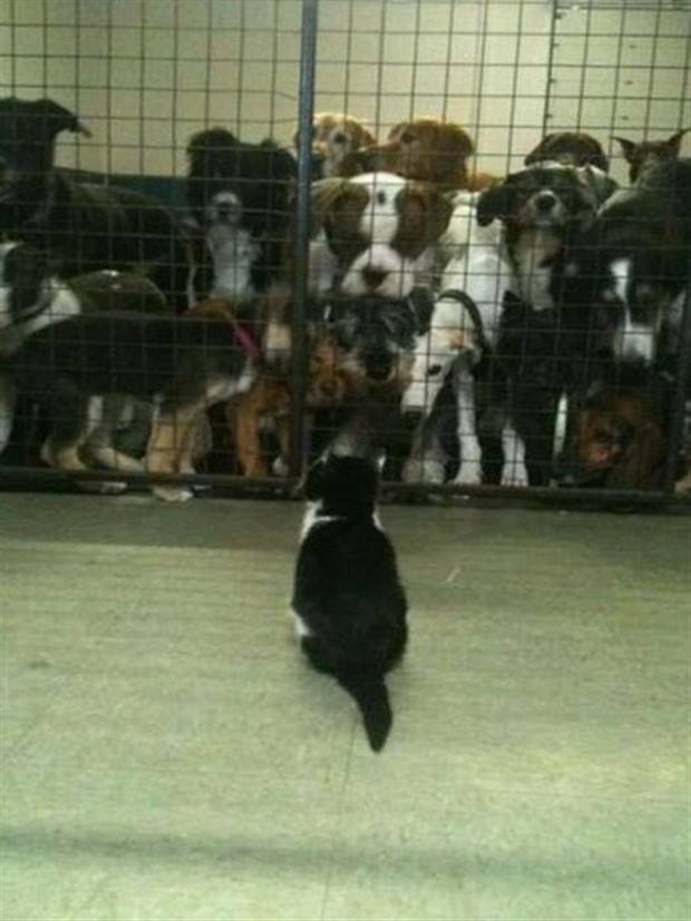 Klyker Picdump #1225 (54 photos)