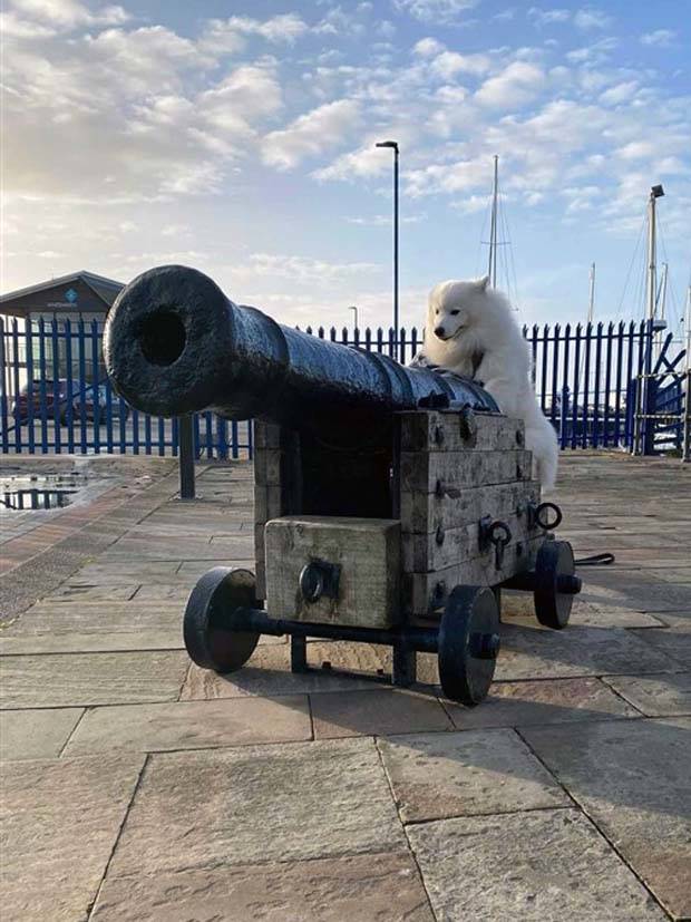 Klyker Picdump #1226 (55 photos)