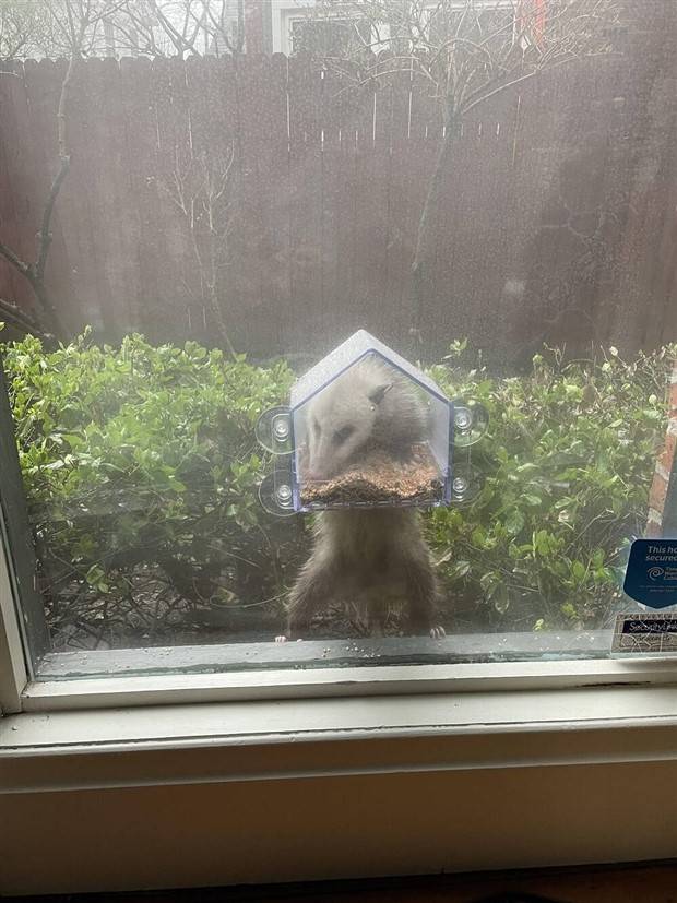 Klyker Picdump #1226 (55 photos)