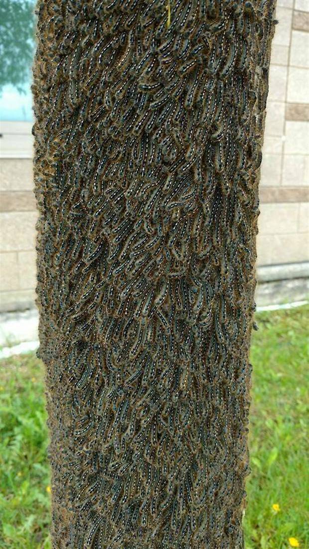 klyker picdump 6 20 2023 22 Klyker Picdump #1228 (52 photos)