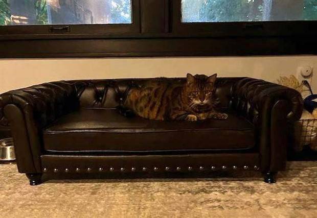 Klyker Picdump #1229 (53 photos)