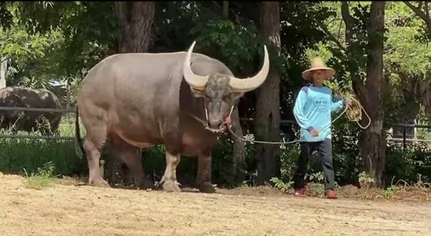 Klyker Picdump #1229 (53 photos)