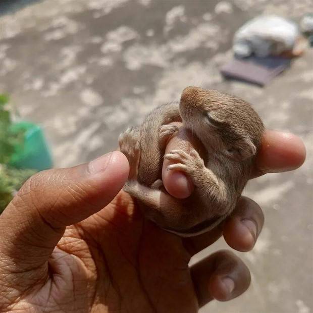 Klyker Picdump #1229 (53 photos)