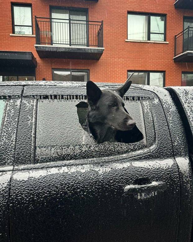 Klyker Picdump #1230 (54 photos)