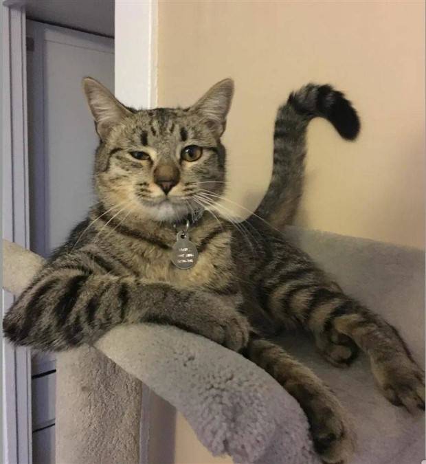 Klyker Picdump #1230 (54 photos)