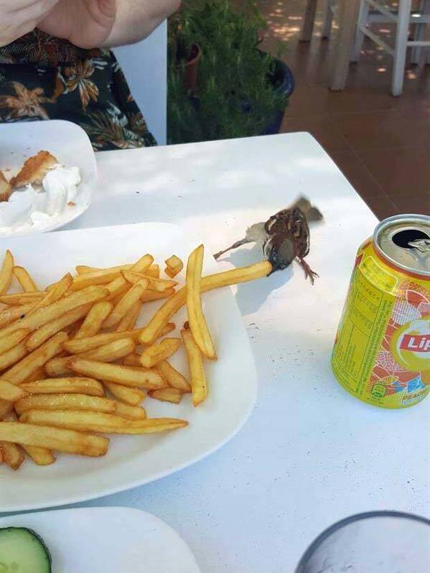 Klyker Picdump #1230 (54 photos)